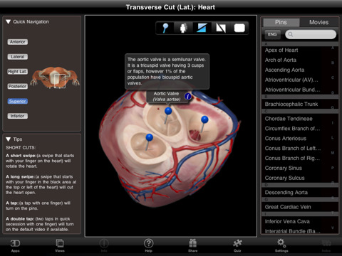 symptoms of heart pro lems symptoms of heart pro lems