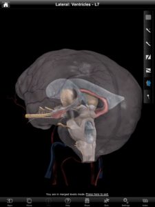 Brain Pro