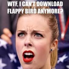 Flappy Bird Meme