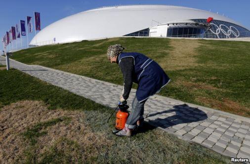 Painting the grass at Sochi