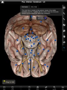 brainscape pro price brainscape pro price
