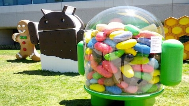 Galaxy Note Jelly Bean Update