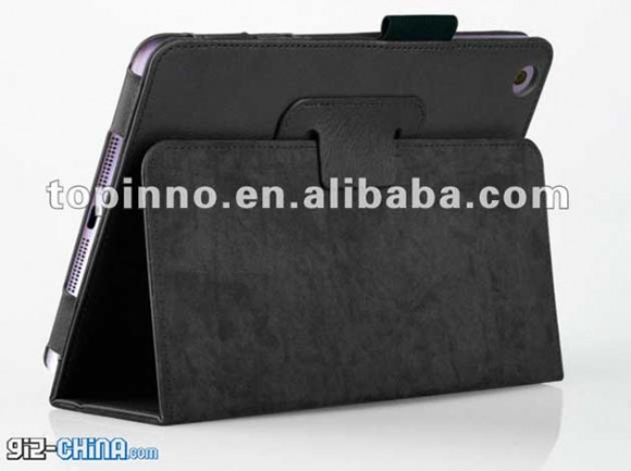 iPad Mini Case 2