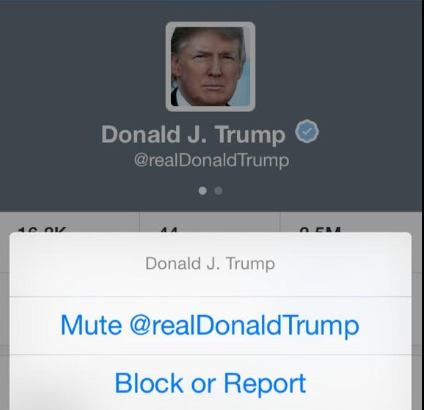 Twitter Mute Feature May Soon Be Implemented