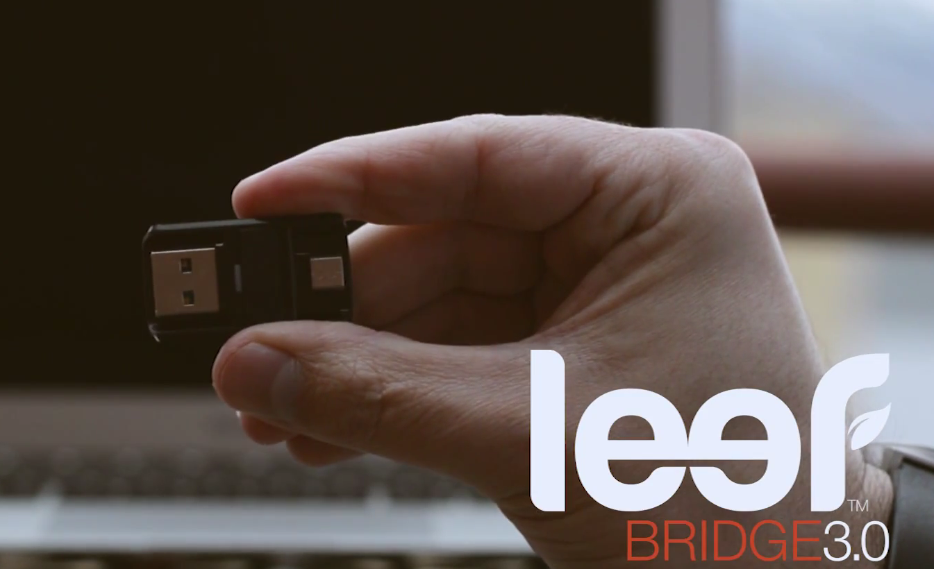 leef bridge