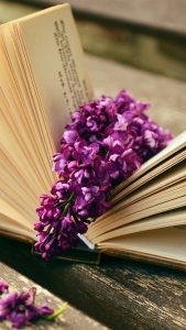 Book HD Flower Wallpaper for iPhone 7