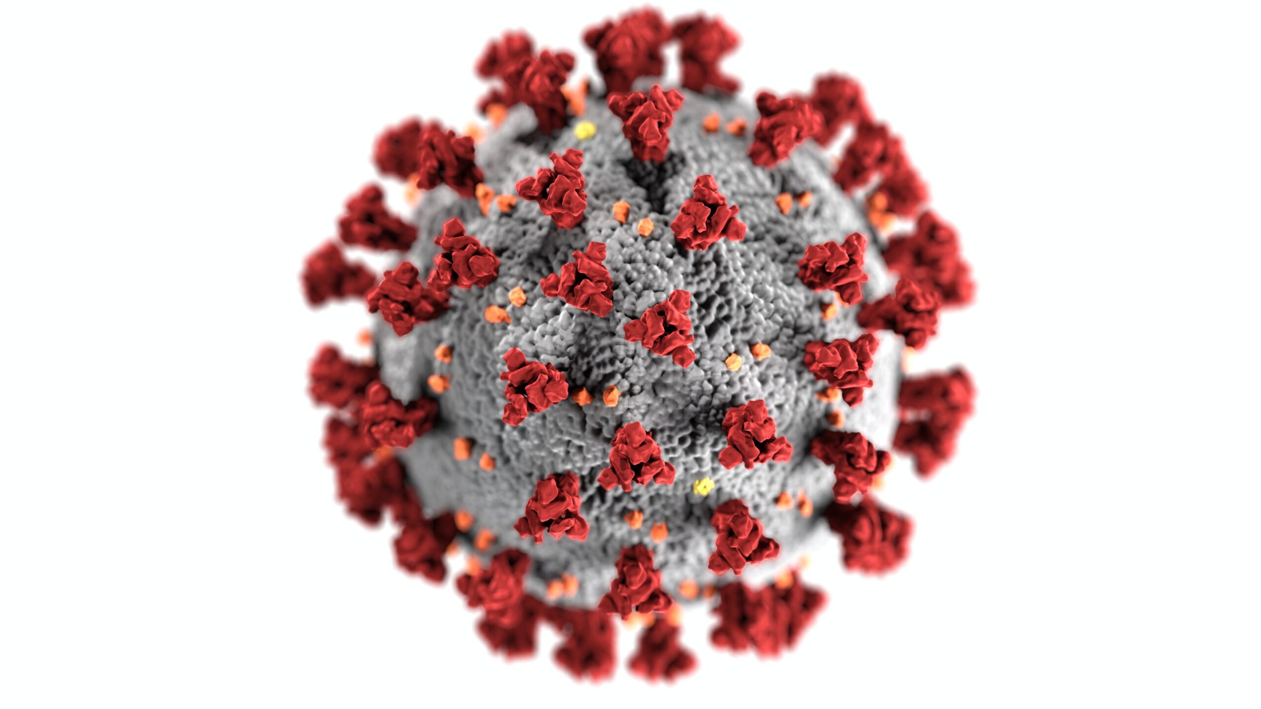 Custom Protective Guards Against Coronavirus - A Perfect Defense For Healthcare Employees