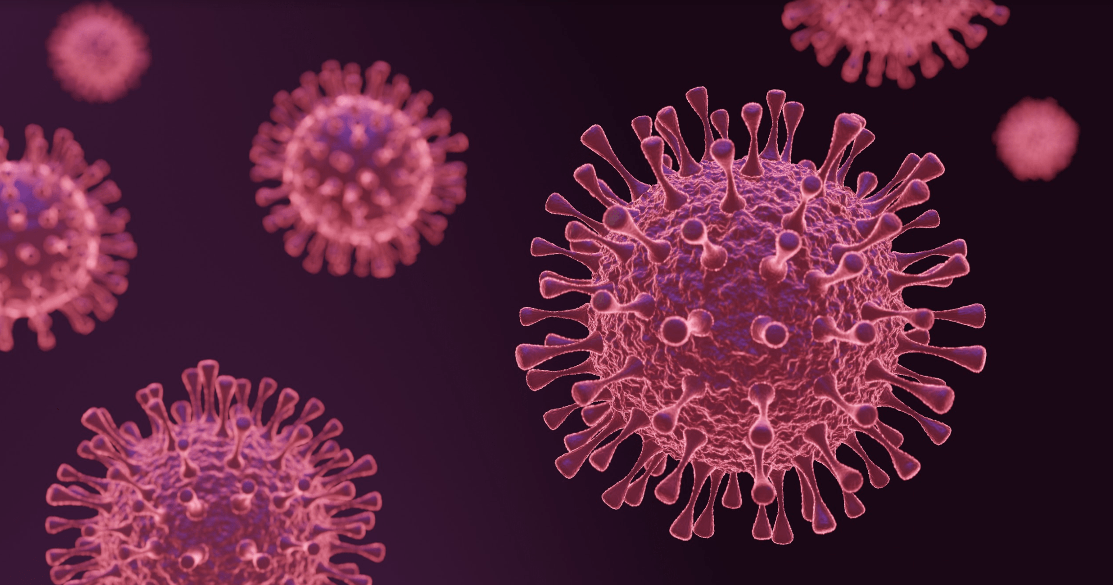 The Fight Against Viruses