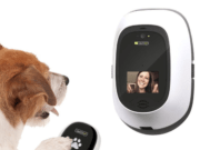 Security System Tips for Pet Owners