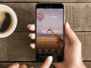 The 5 Apps That Come in Handy During a Safari Trip in Kenya