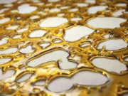 Learning How to Make Honey Oil Into a wax liquidizer