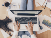 7 Tips to Become Your Home's Pest Defender