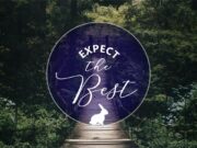 BlogsBunny – Never Before Seen Content Sharing BlogsBunny – Never Before Seen Content Sharing