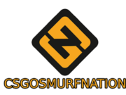 COUNTER STRIKE GLOBAL OFFENSIVE (CSGO)