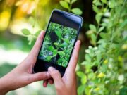 How to market your farm products on the Internet