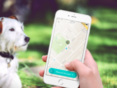 4 must-have apps for any dog owner