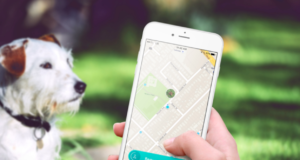 4 must-have apps for any dog owner