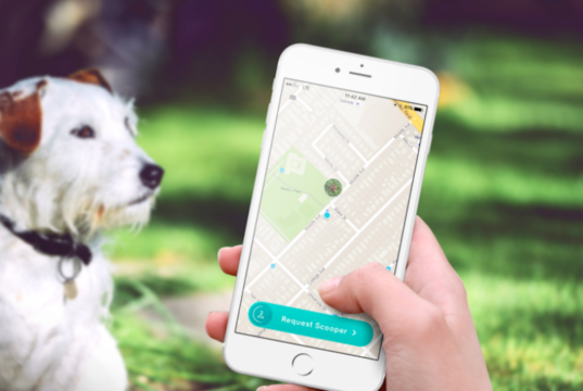 4 must-have apps for any dog owner