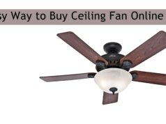 Easy Way to Buy Ceiling Fan Online