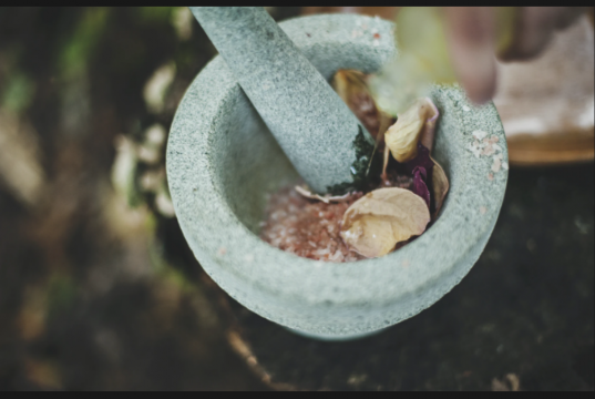 4 Herbal Medicine for the Treatment of Cardiovascular Diseases