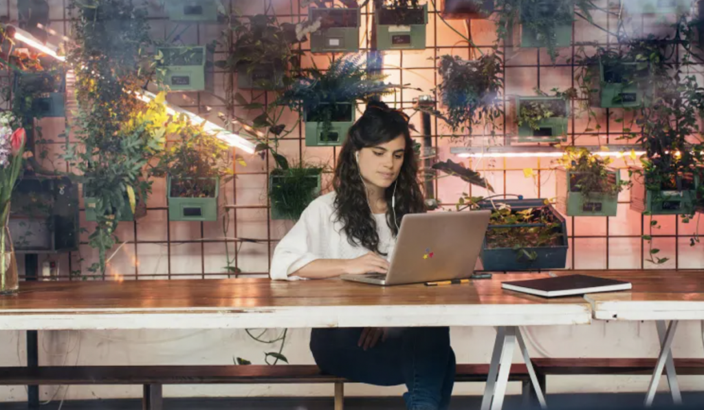 All You Need To Know About 4 Ft LED Hanging Shop Light