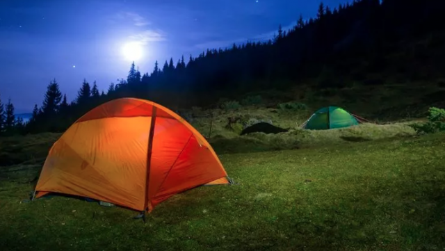 A prismatic view of the best pop-up tents in terms of their capacity and price 