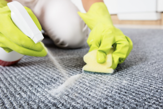 7 Ideas for Removing Stubborn Carpet Stains