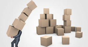 What is the purpose of delivery management software?