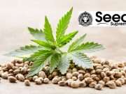 How the Pros Get Higher Yields