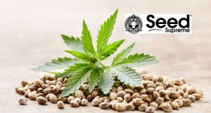 How the Pros Get Higher Yields