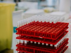 TB-500 Peptide: Possible Properties in Immunity Research