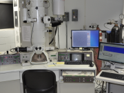 What Is the Distinction Between a Light and an Electron Microscope?