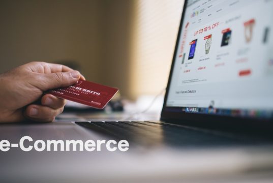 Top 6 Emerging & Profitable E-Commerce Business Niches