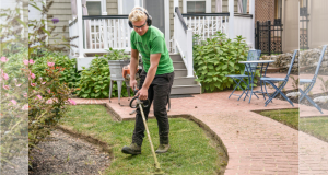 What You Need to Know About Landscaping Insurance