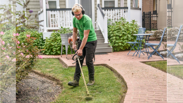 What You Need to Know About Landscaping Insurance