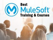 How to Start Learning MuleSoft From the Scratch How to Start Learning MuleSoft From the Scratch
