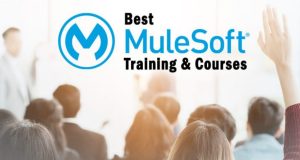 How to Start Learning MuleSoft From the Scratch