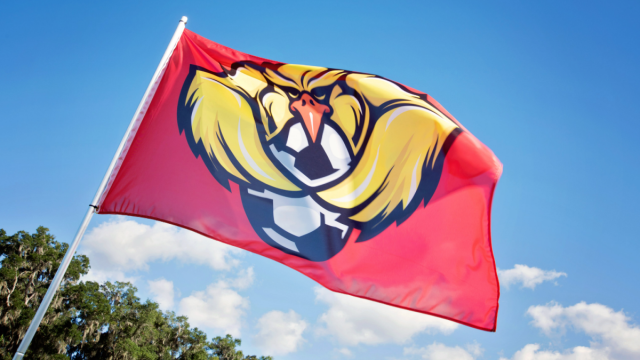 Custom Flags