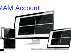 What is a MAM Account? A detail you must know!