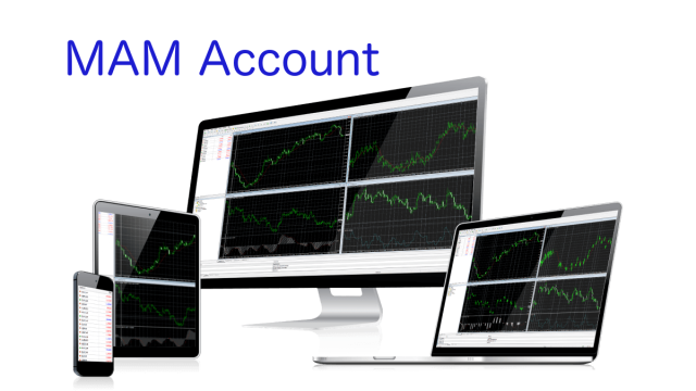 What is a MAM Account? A detail you must know!