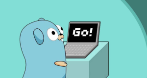 What is Golang