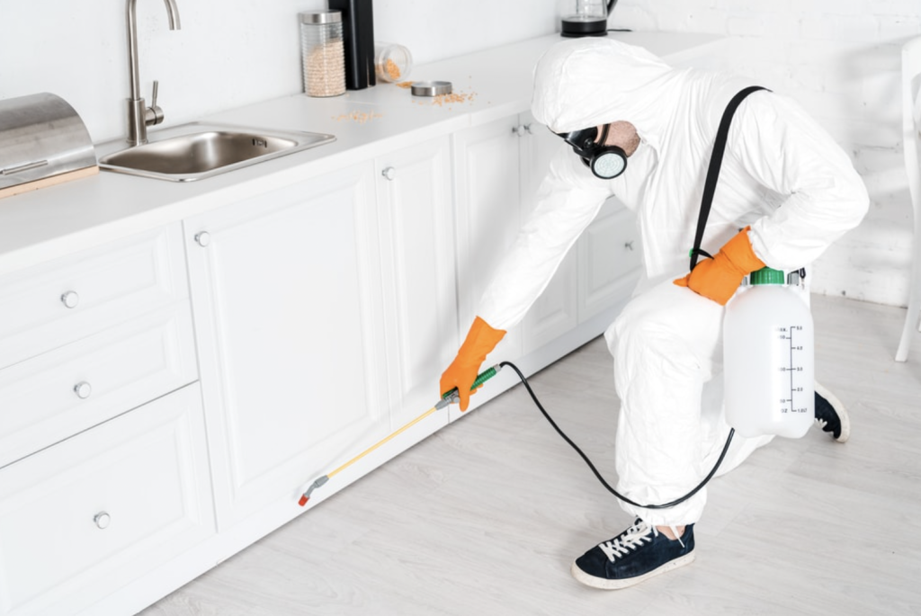 Do You Really Need Monthly Pest Control?
