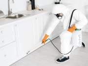 Do You Really Need Monthly Pest Control? Do You Really Need Monthly Pest Control?