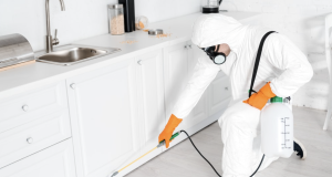 Do You Really Need Monthly Pest Control?