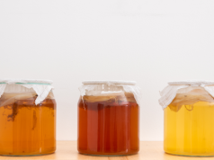 Kombucha: Choosing The Best Kombucha Jars
