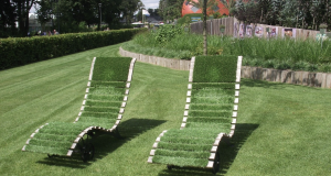 Artificial Grass NZ: The Ultimate Solution for a Low-Maintenance Lawn