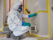 Benefits of Hiring a Mold Inspector Benefits of Hiring a Mold Inspector