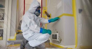 Benefits of Hiring a Mold Inspector