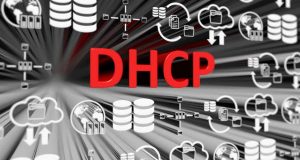 Concepts of DHCP ports