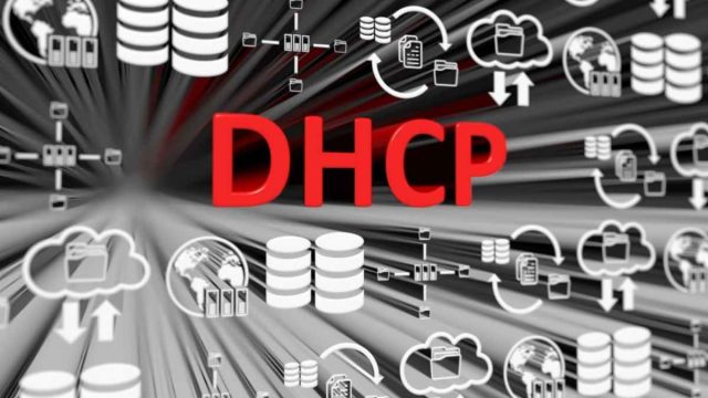Concepts of DHCP ports